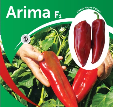 Arima