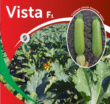 Vista