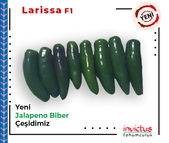 Larissa F1