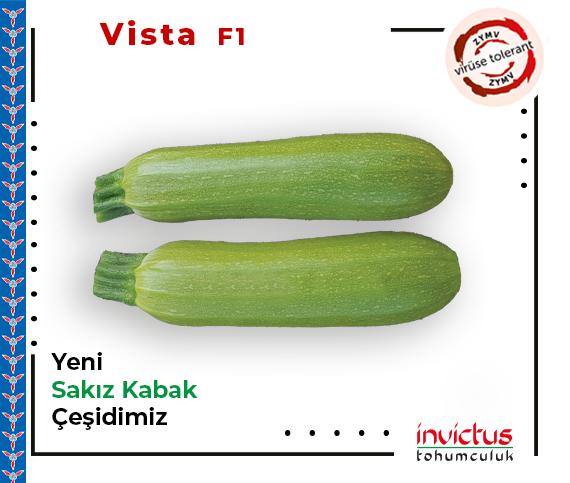 Vista F1