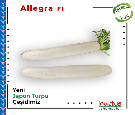 Allegra F1