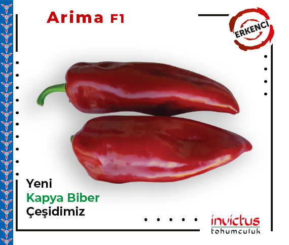 Arima F1