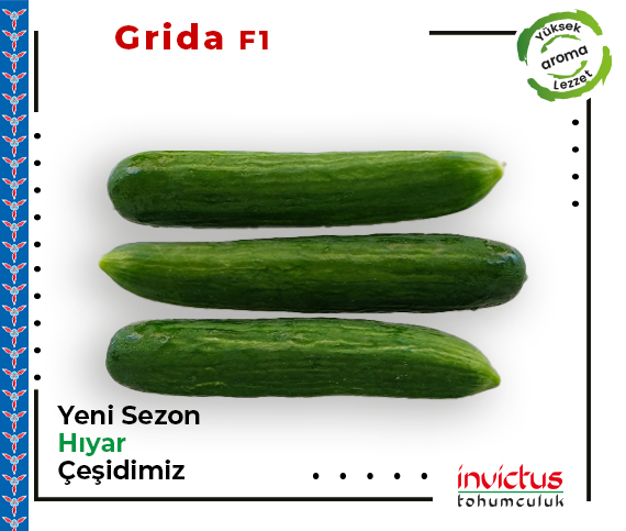 Grida F1