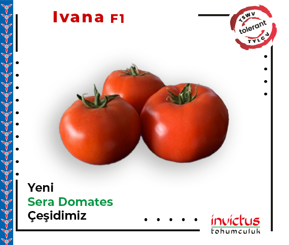 Ivana F1