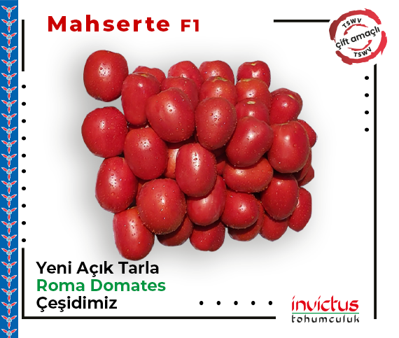 Mahserte F1