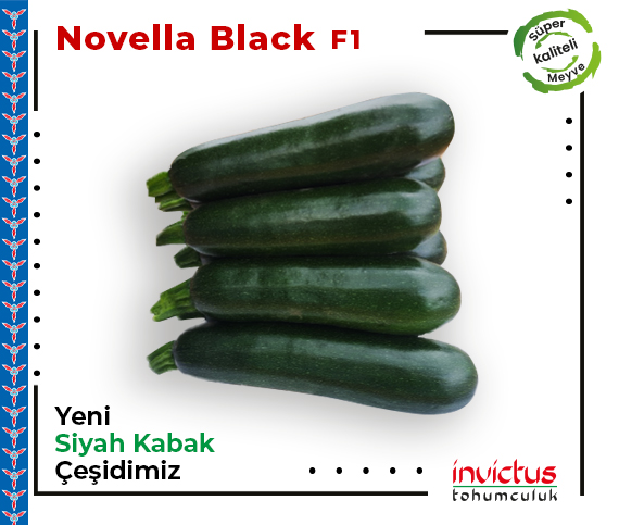 Novella Black F1