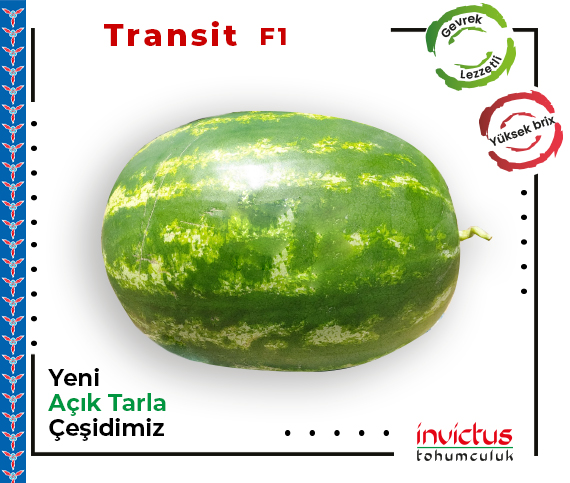 Transit F1